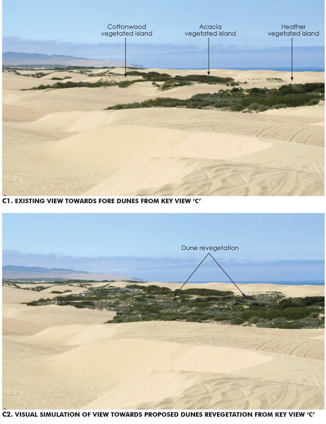 Examples of Visual Simulations of Oceano Dunes Completed by Oasis Associates